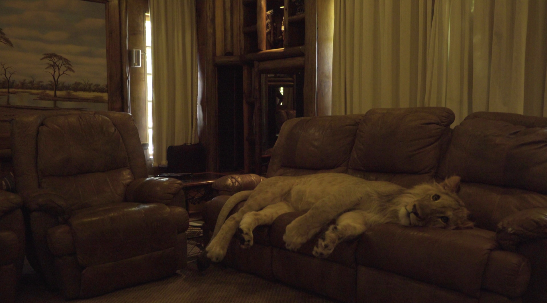 La Lune Des Braconniers